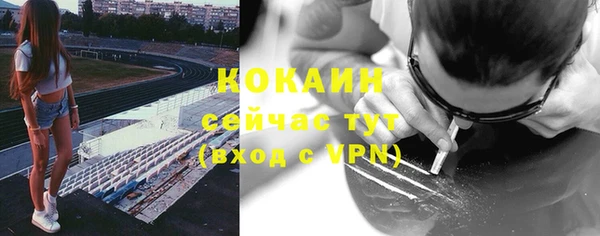 герыч Тайга