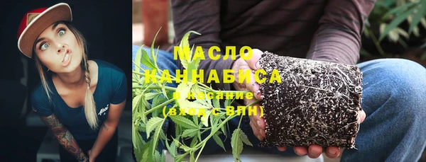 дживик Сясьстрой