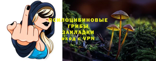 экстази Богородицк